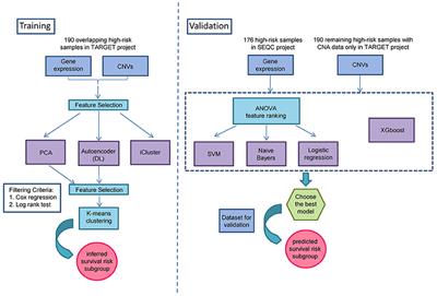 Deep Learning-Based Multi-Omics Data Integration Reveals Two Prognostic Subtypes in High-Risk Neuroblastoma